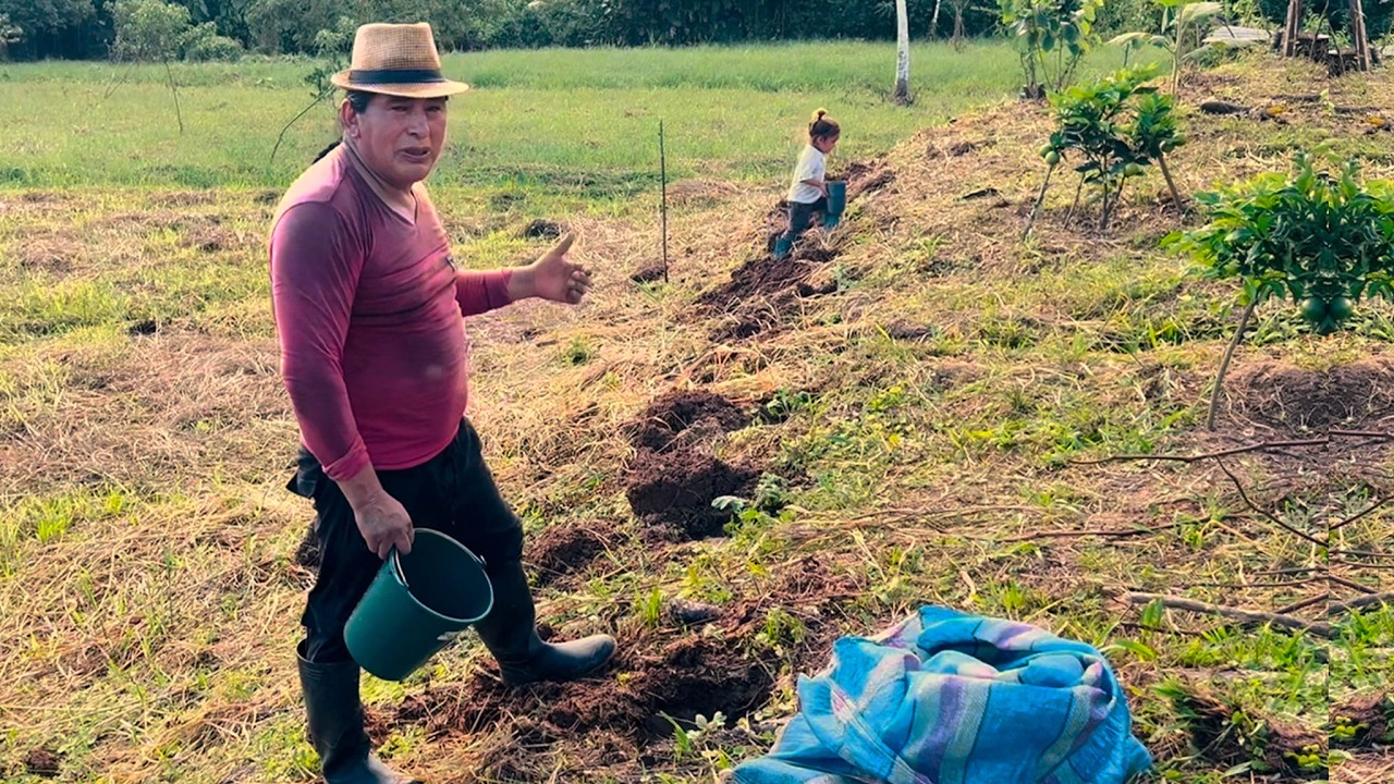 Así cultivamos la SANDíA para tener buena Producción | Don Valentin