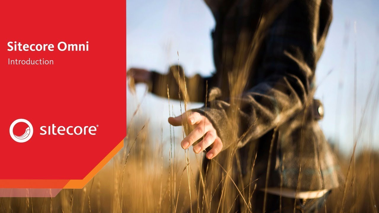 Sitecore Omni Introduction
