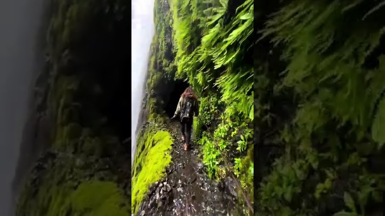 Hike a narrow trail behind a waterfall: 📍 Tunnel Falls, Oregon