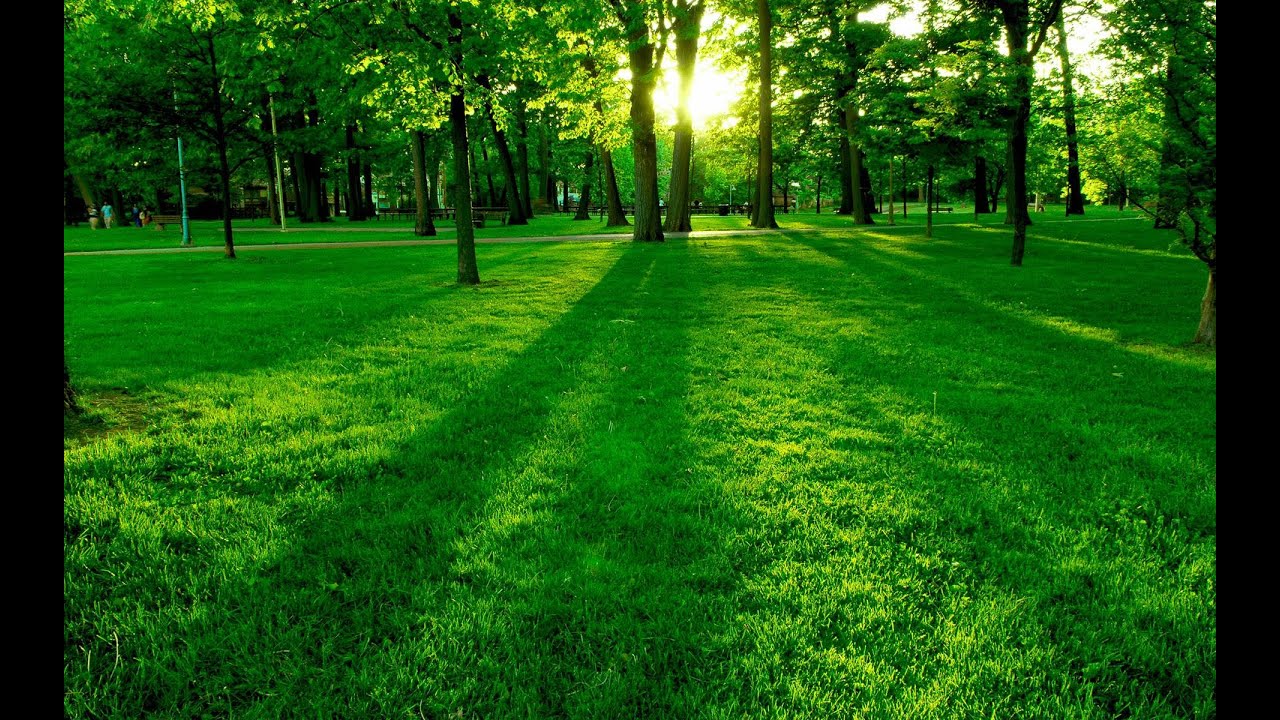 Esuchar Cor&aacute;n  | Dormir tranquilamente | Combatir el estr&eacute;s | Meditaci&oacute;n...