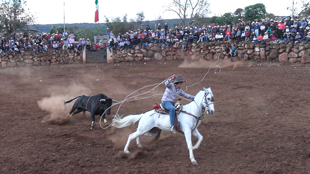 !! TOROS BRAVOS BUSCA CABALLOS ¡¡ EN EL RESUMIDERO MICHOACAN 30 DE DICIEMBRE DEL 2025