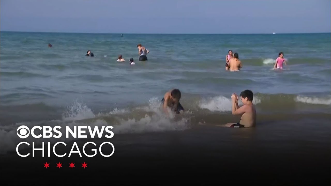 How Chicago beaches are rapid tested for safe swimming