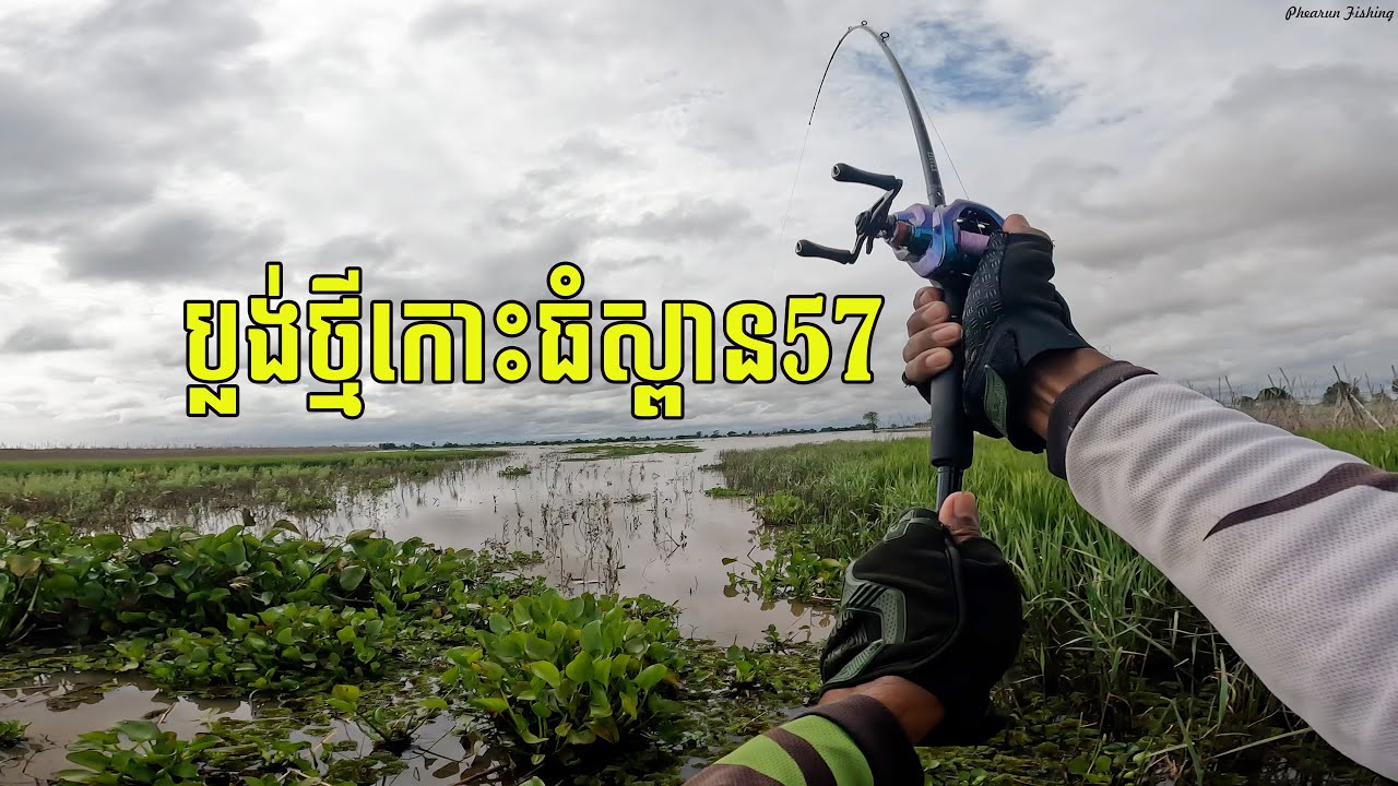 Cambodia Love Rice Field Fishing | កោះធំប្លង់ថ្មីខ្នាតតឹងៗដៃ