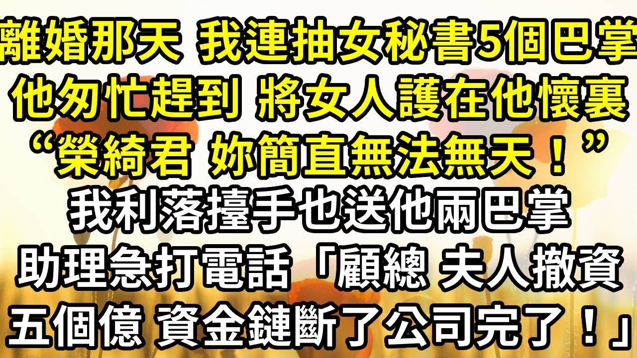 離婚那天，我連抽女秘書5個巴掌，他匆忙趕到 那女人躲在他懷裏哭泣，“榮綺君，妳簡直無法無天！”，我利落擡手也送他兩巴掌，他收到助理電話「顧總 夫人撤資五個億 資金鏈斷了公司完了」