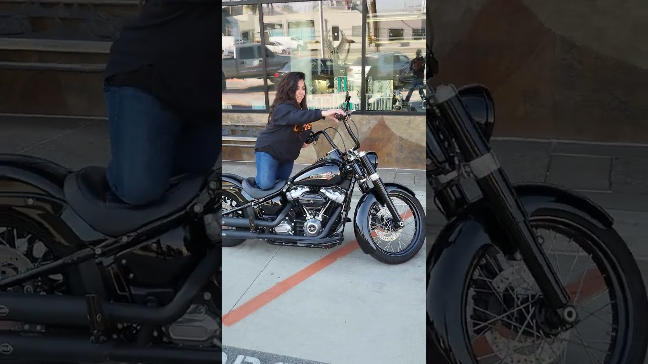 You won't BELIEVE a Softail Slim makes this noise #shorts