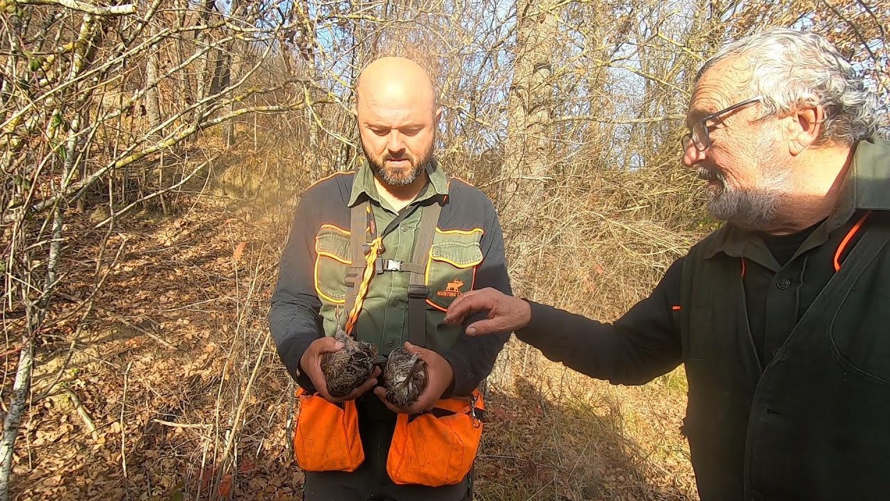 A CACCIA DI BECCACCE NEL GIORNO DELL' IMMACOLATA #hunting #animali #animals #birds #beccaccia 