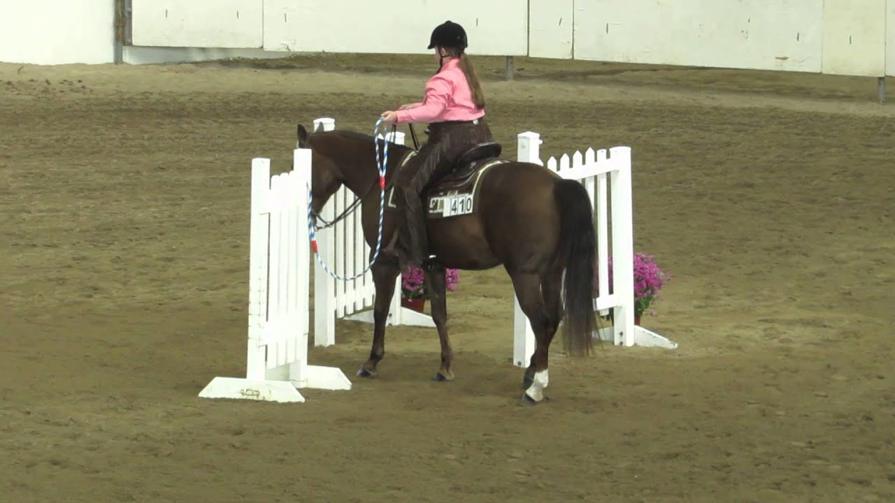 2014 PA State 4-H Horse Show, Pony Trail