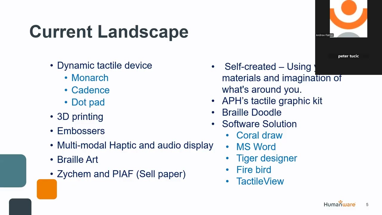Simplifying Tactile Graphics with TactileView
