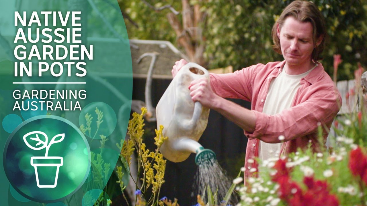 How to make a portable native garden that's perfect for renters