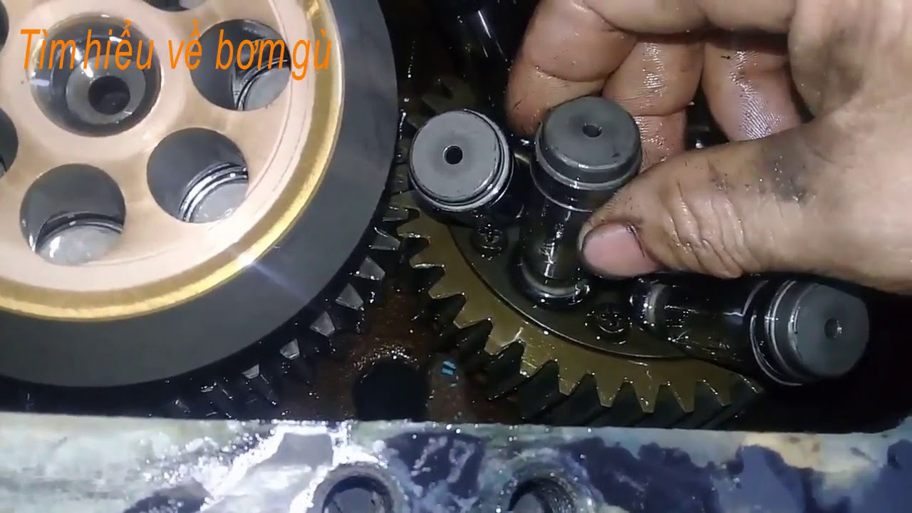Tìm hiểu về bơm gù