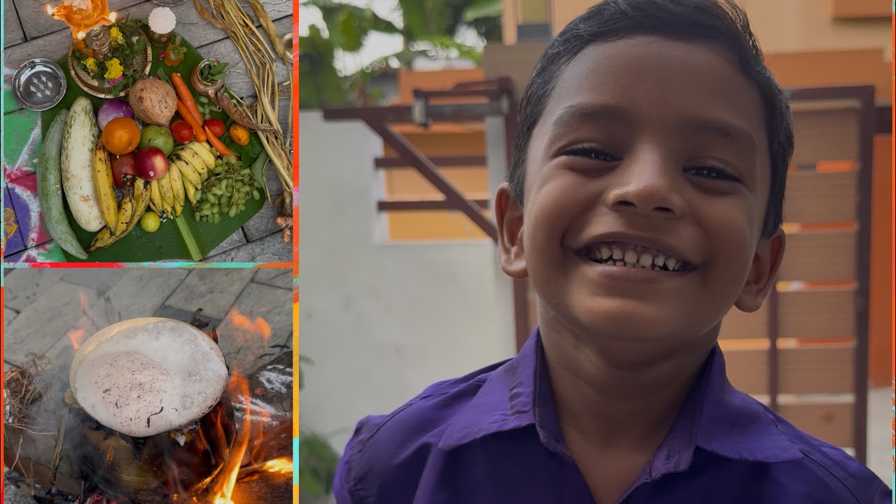 Pongal 2026 🌾 Highlights✨ #pongal #pongalcelebration #2026 #tamil #tamilnadu #festival 