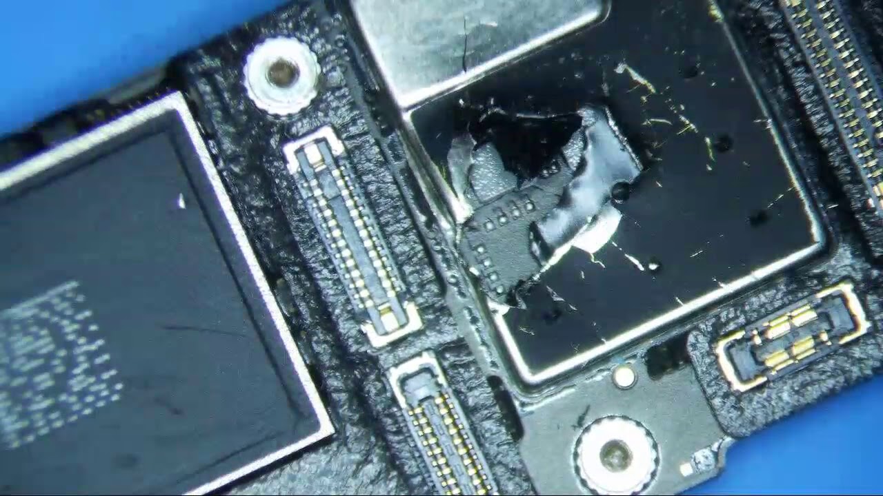 iPhone 11 No Backlight Repair After DIY Screen Repair