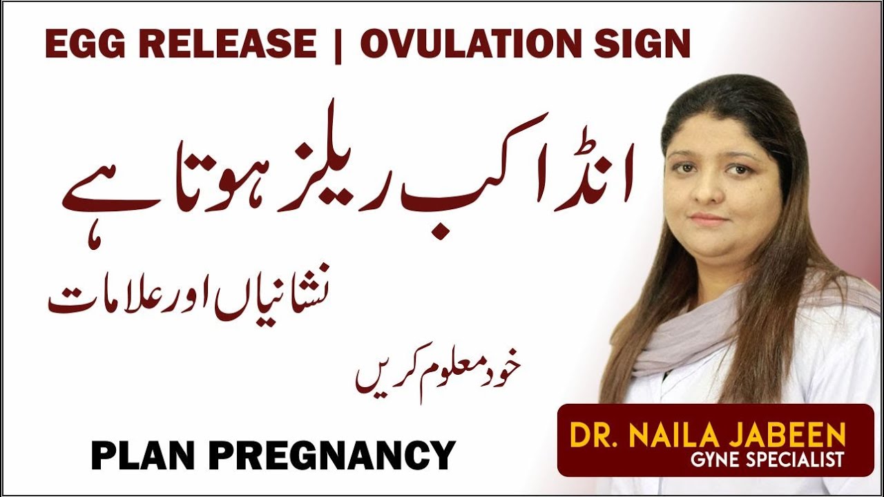 Egg Kab Release Hota | Signs & Symptoms Of Ovulation Urdu: Egg Release | Egg Ovulation Check in Home