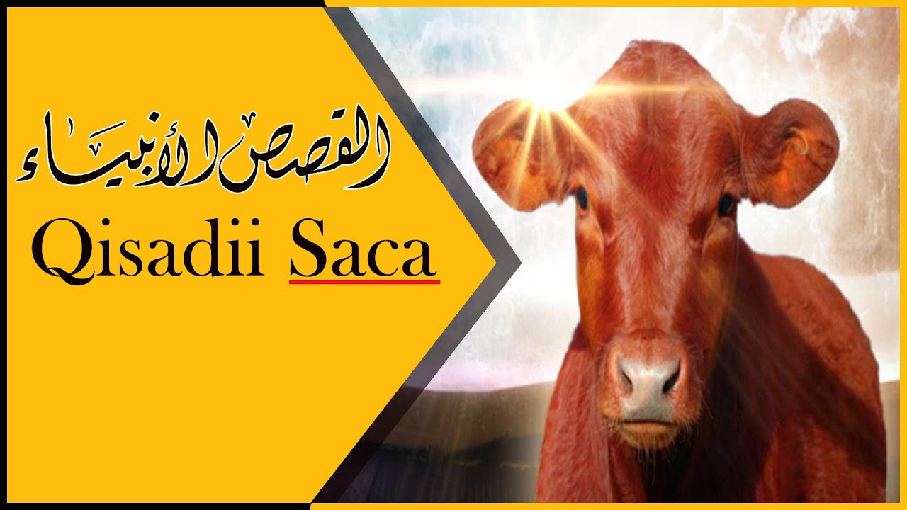 Qisooyinka Nabiyada ᴴᴰ┇Qisadii Sacii Iyo Reer Binii Israa'iil dilka adeerkood kadib