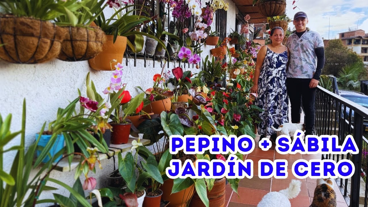 Sábila + Pepino: el truco natural para plantas que hace mágico el jardín de Estela |AP