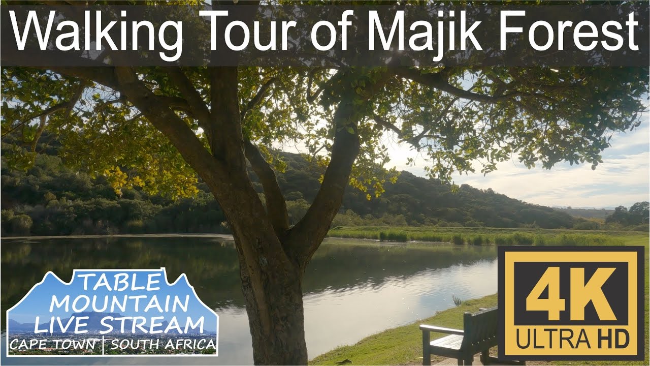 Walking Tour of Majik Forest, Durbanville
