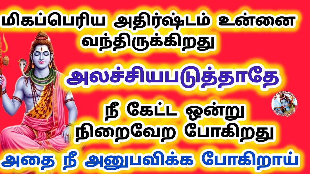 மிகப்பெரிய அதிர்ஷ்டம் உன்னை வந்திருக்கிறது அலச்சியபடுத்தாதே நீ கேட்ட ஒன்று நிறைவேற போகிறது 