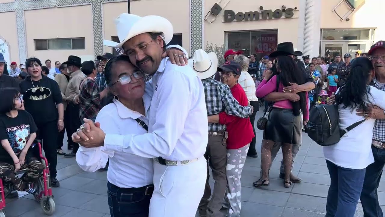Los palomitos 🕊️🕊️ cada días más Enamorados ❤️❤️❤️