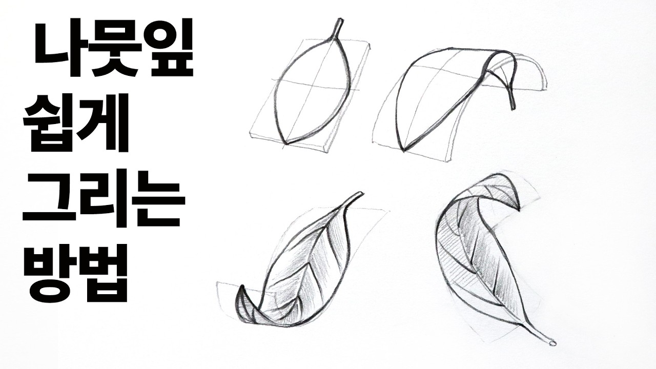 초보자를 위한 식물 스케치 쉽게 그리는 방법
