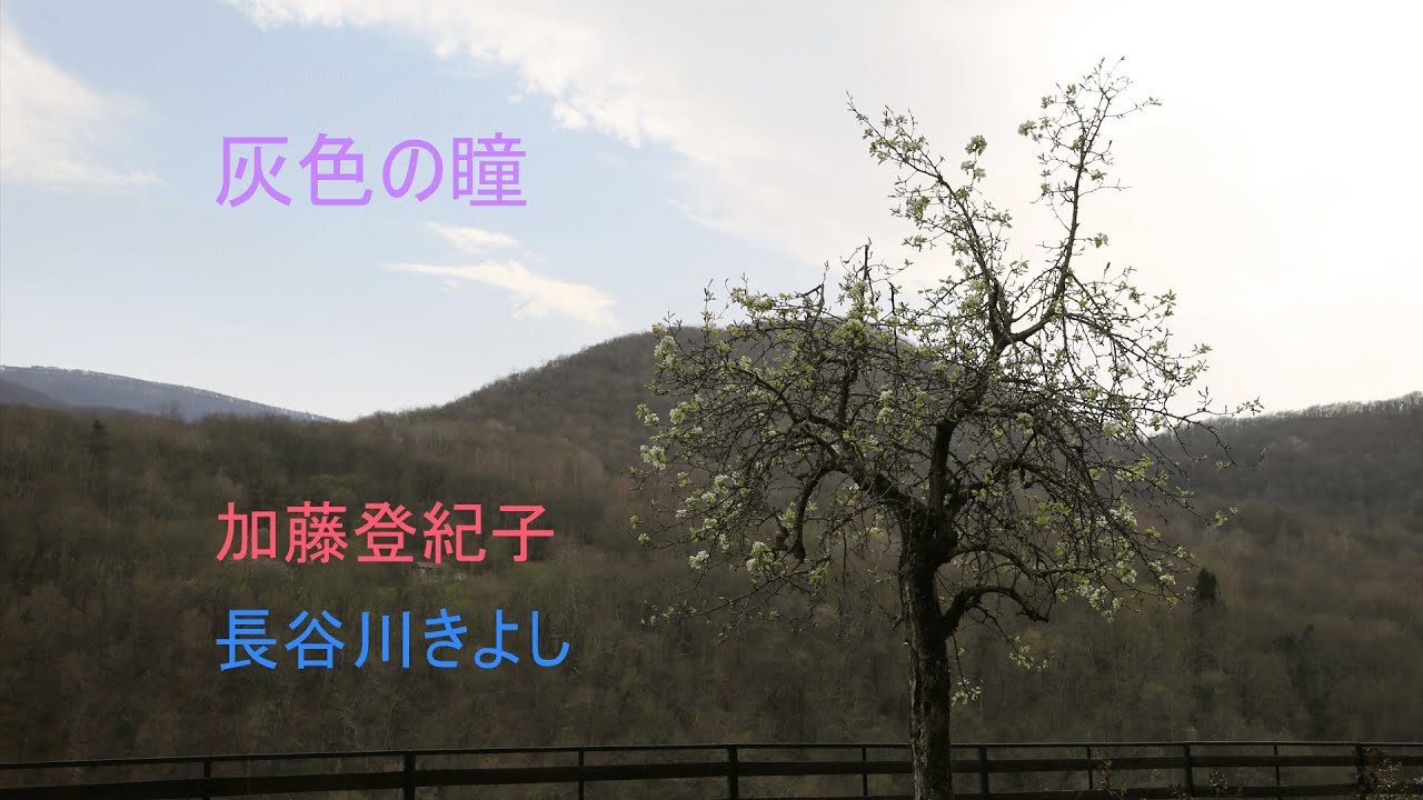 灰色の瞳　　加藤登紀子 ＆ 長谷川きよし