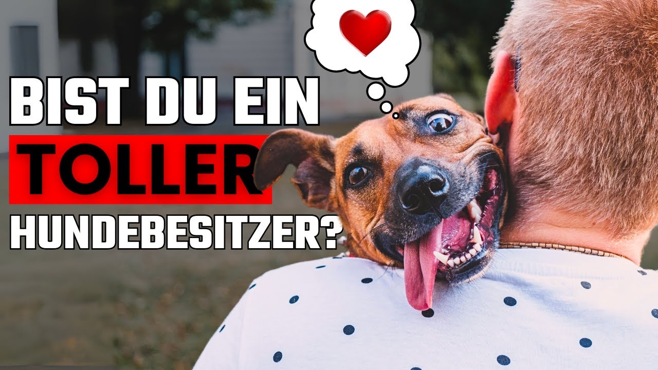 10 Unverkennbare Zeichen, dass du ein TOLLER Hundebesitzer bist!