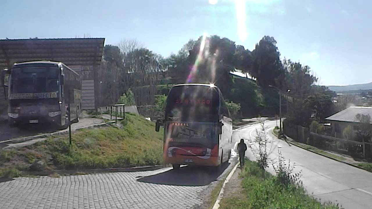 youngman neoplan skinner los libertadores