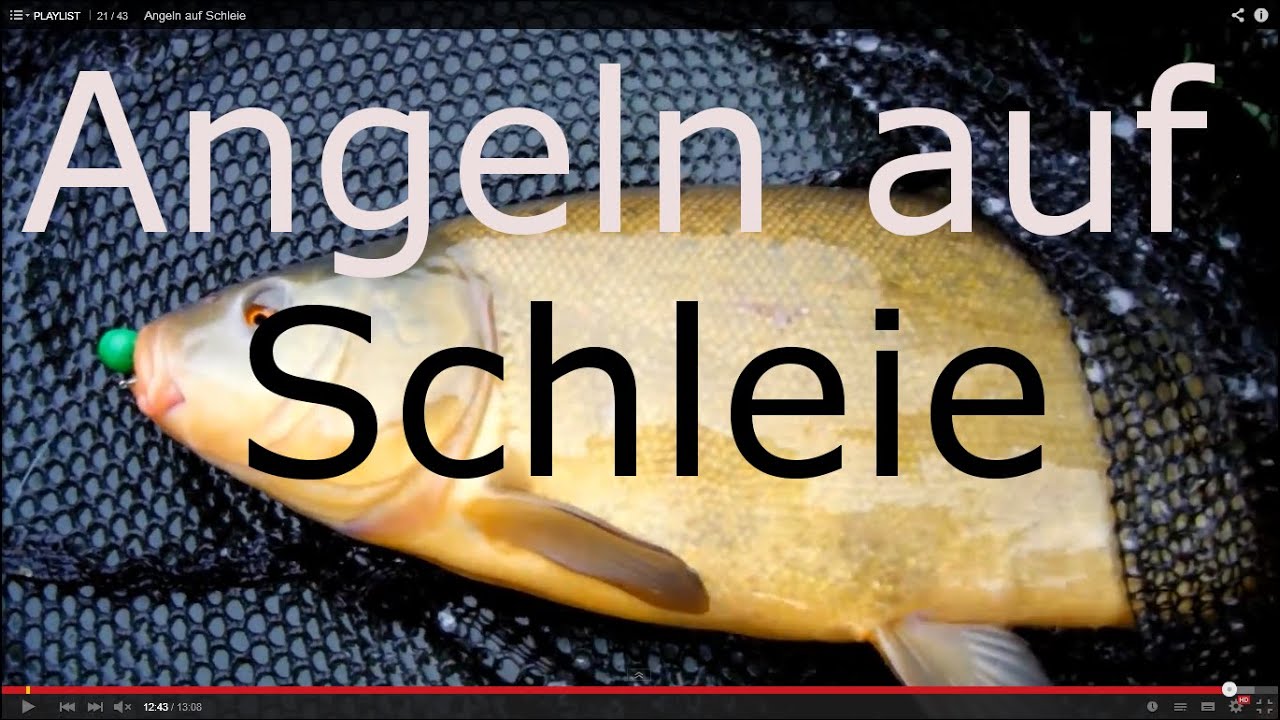 Schleien angeln am See - Grund und Posenangeln