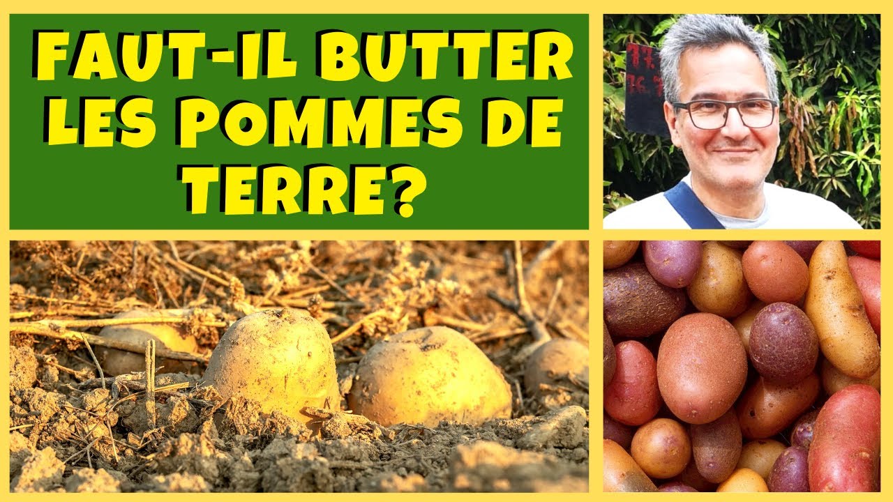 Faut-il (vraiment) butter les pommes de terre ?