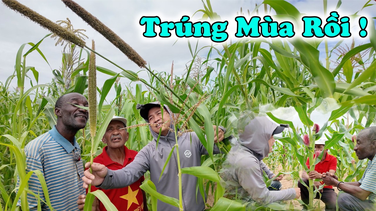 Thể Hiện Bản Lĩnh, Suốt Đời Chúng Tôi Không Bao Giờ Quên Ơn Này... Ấm No Rồi !!!