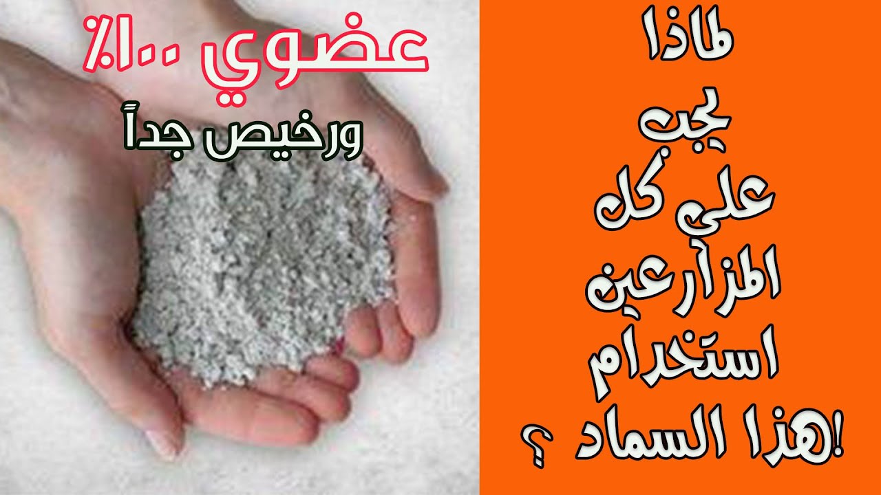٥ اسباب رئيسية تجعلك تستخدم هذا السماد كل سنة || الجبس الزراعي مصدر طبيعي عضوي للكالسيوم والكبريت