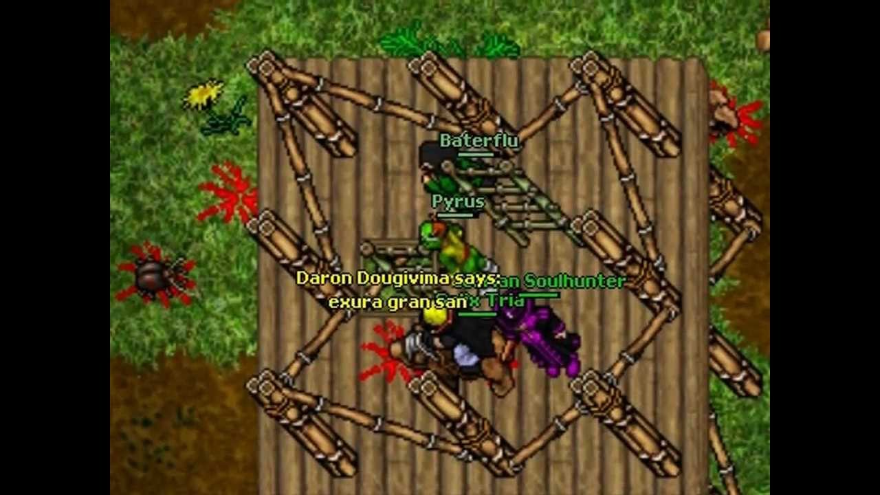 Tibia Lunara Pk Part 16