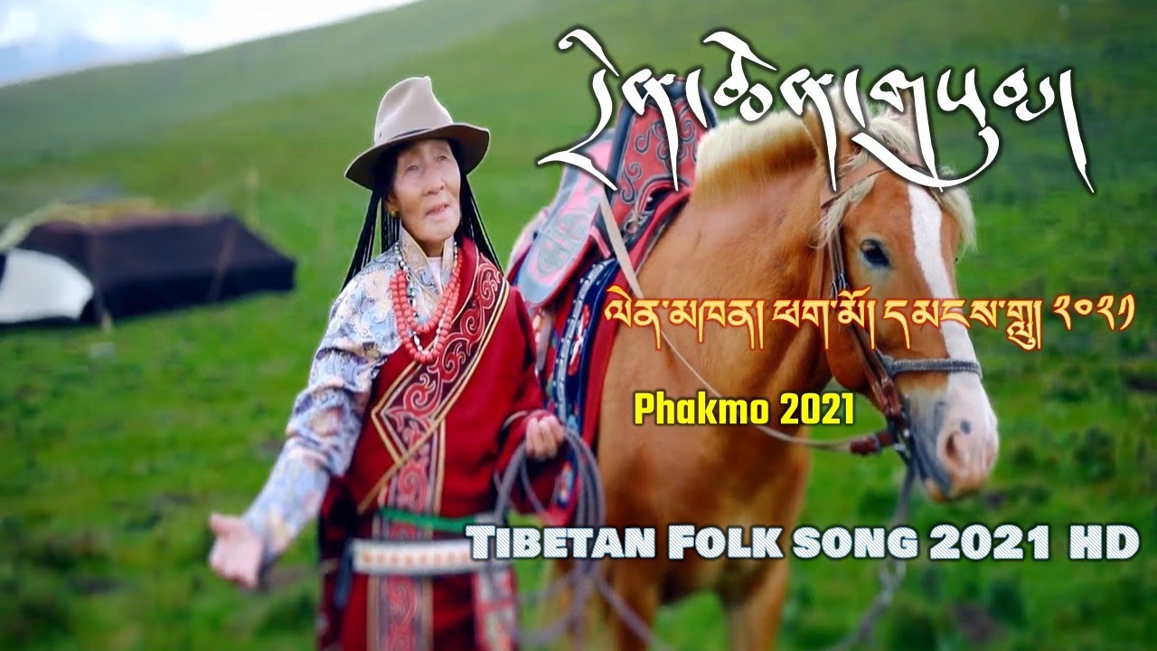 བོད་ཀྱི་དམངས་གླུ་༢༠༢༡༼དྲིན་ཆེན་གསུམ།༽ལེན་མཁན། ཕག་མོ། ࿉ Phakmo 2021 ࿉ Tibetan Folk song 2021