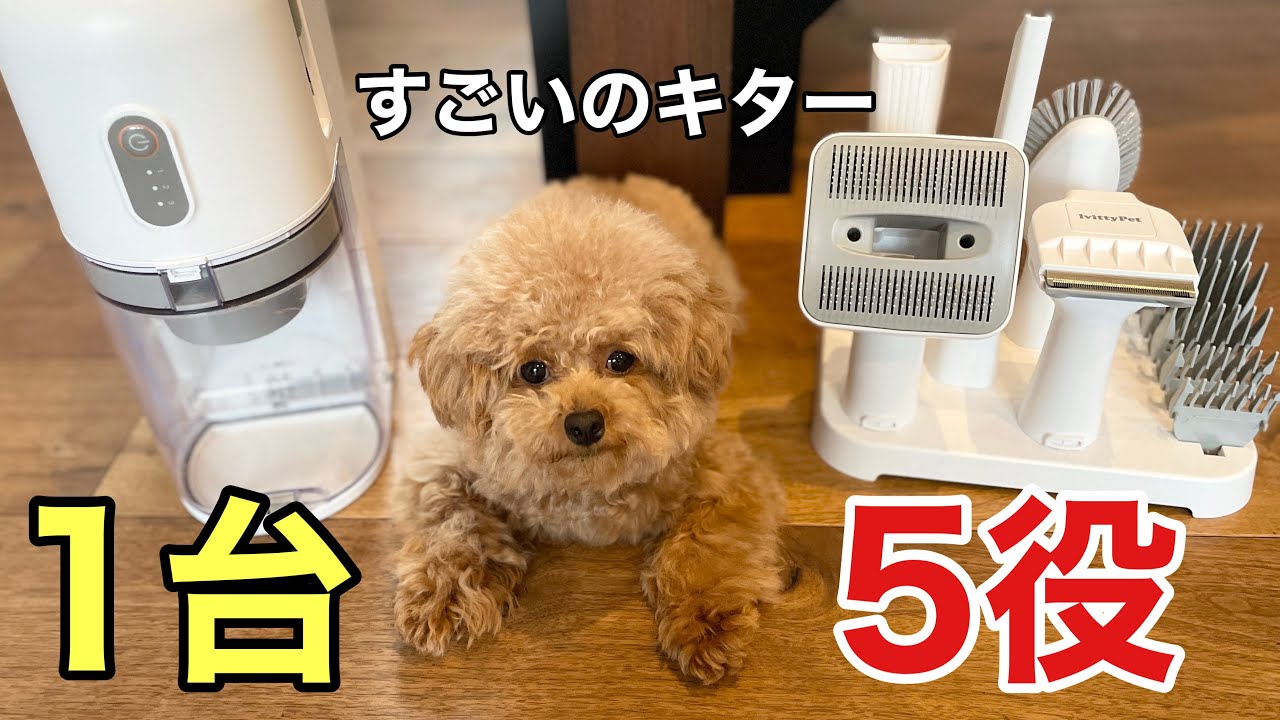 自宅最強のグルーミングセット(1台5役)がキター‼️