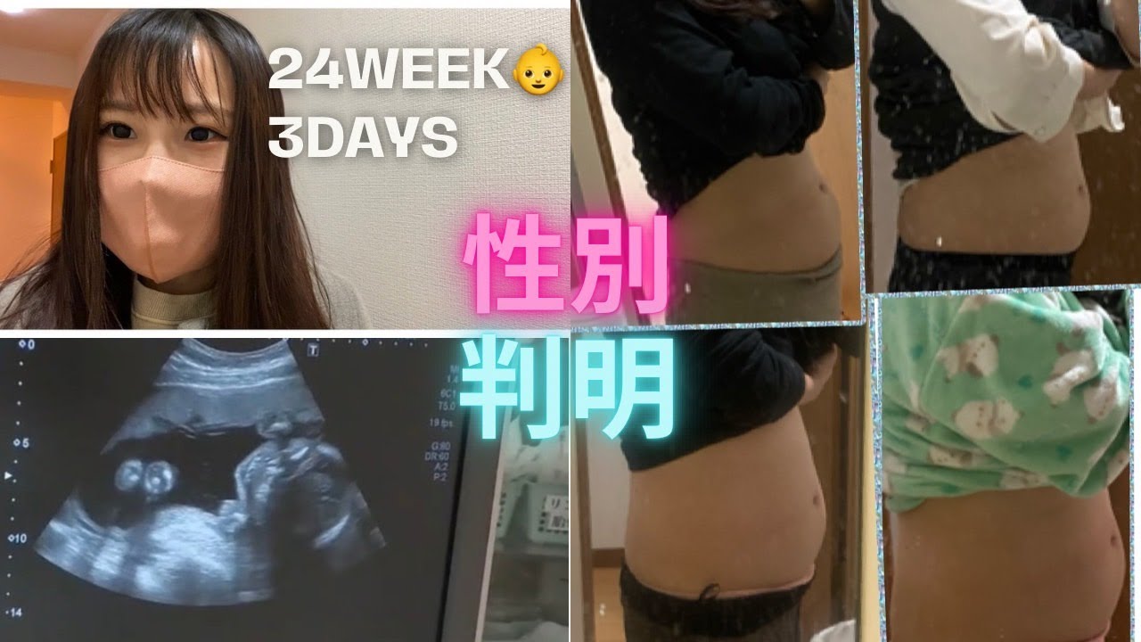 妊娠7か月🤰性別判明しました🐶
