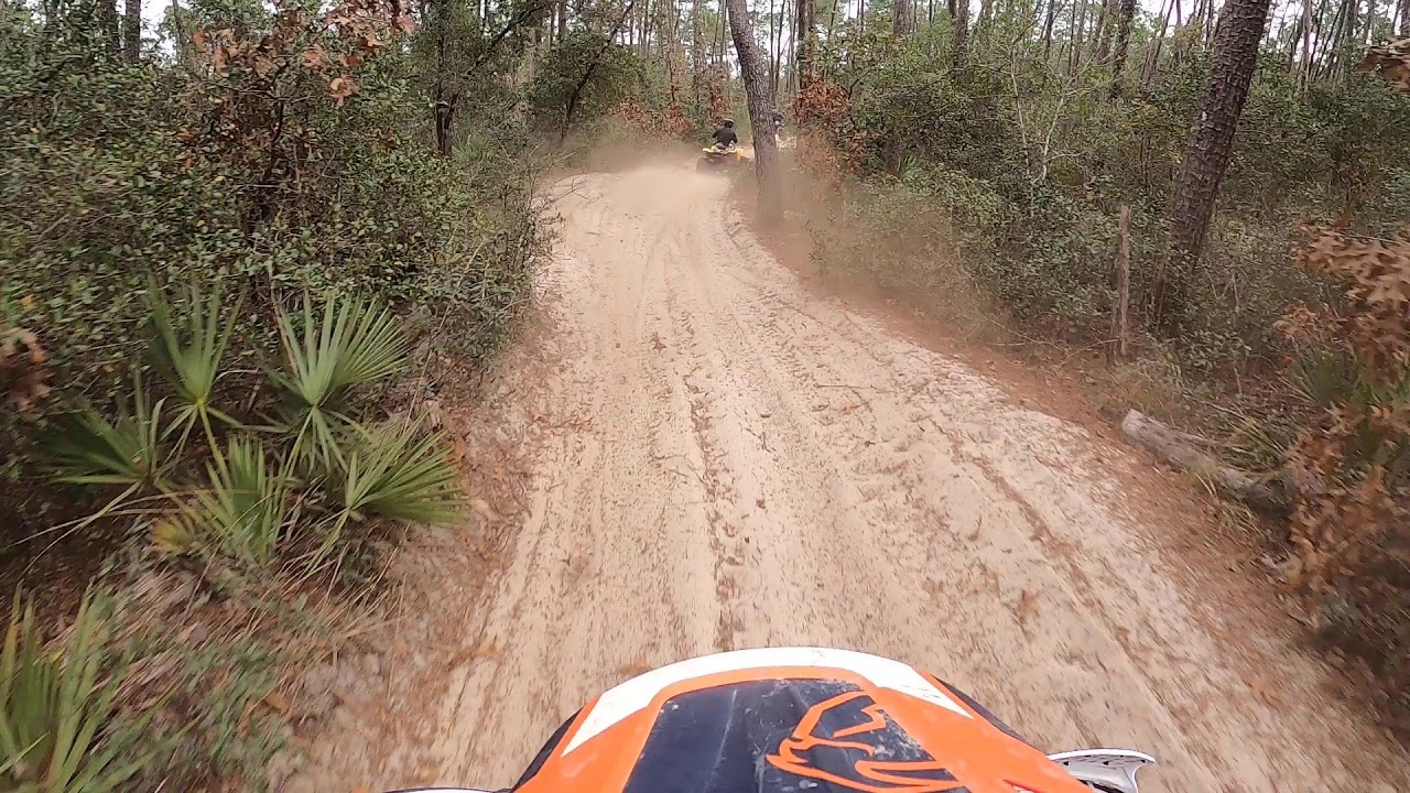 Day trip to Big Scrub Ocala Florida