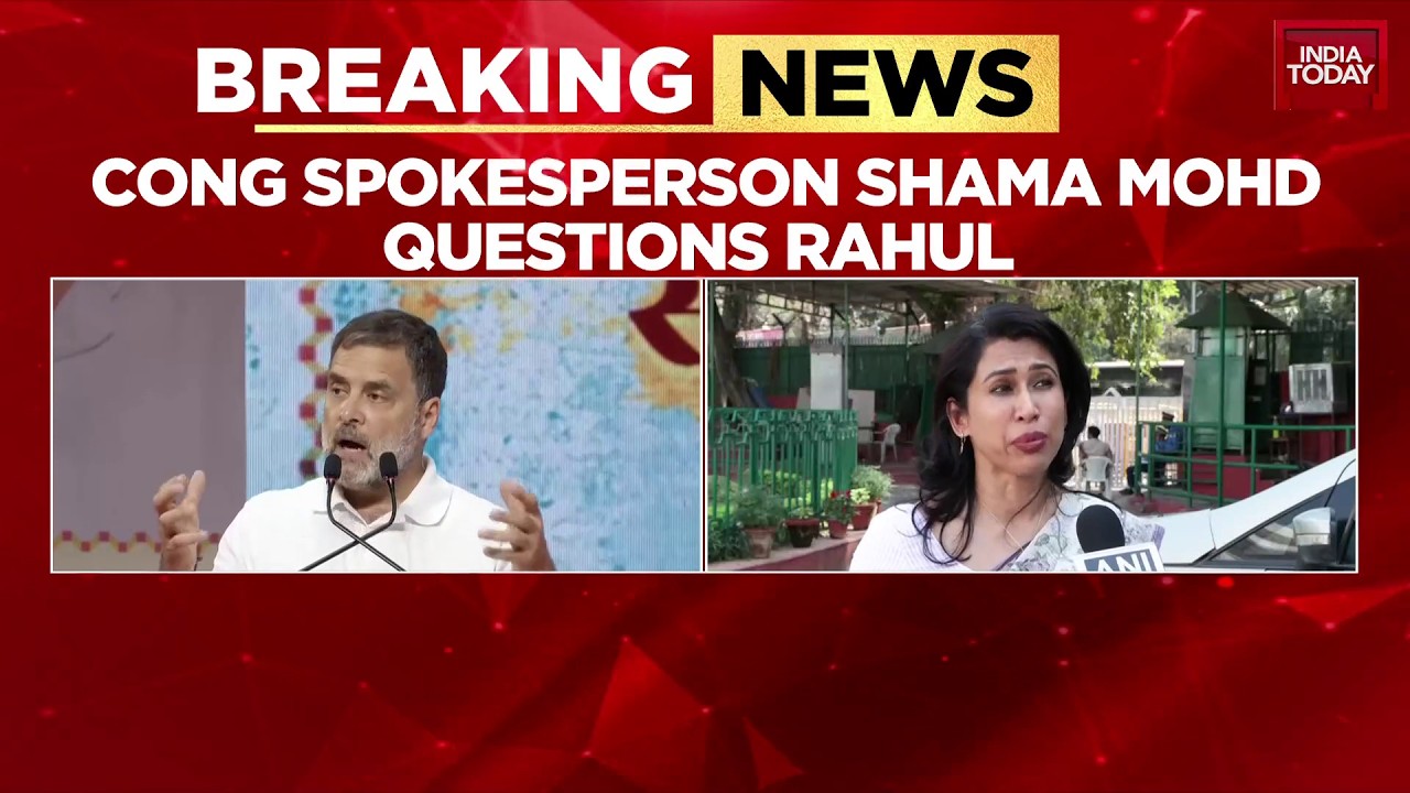 Congress Rift Widens?: Cong Leader Shama Mohamed Slams Rahul Gandhi Over Women's Ticket Distribution