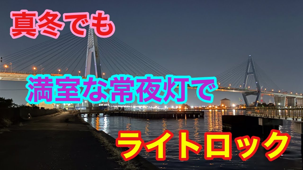 真冬でも満室な常夜灯のライトロック 名古屋港