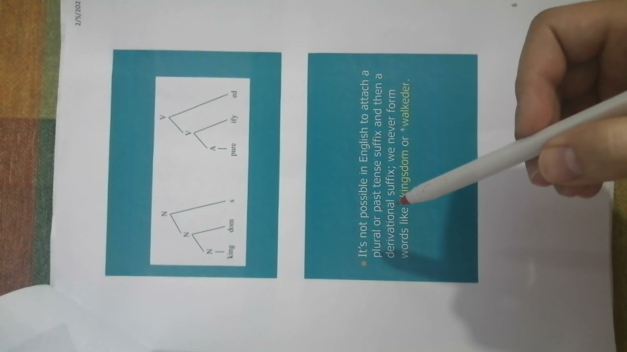 english morphology for english department student , collage of language explain in kurdish...