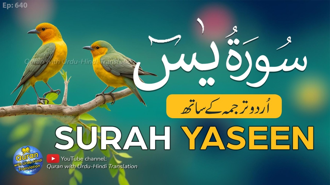 Surah Yaseen with Urdu Translation full | Yasin ki tilawat tarjuma ke sath | #surahyaseen | Ep 640