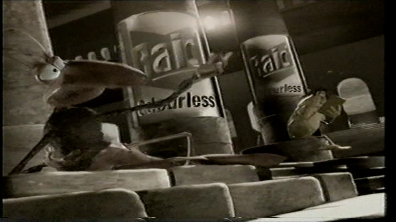 Raid 1996