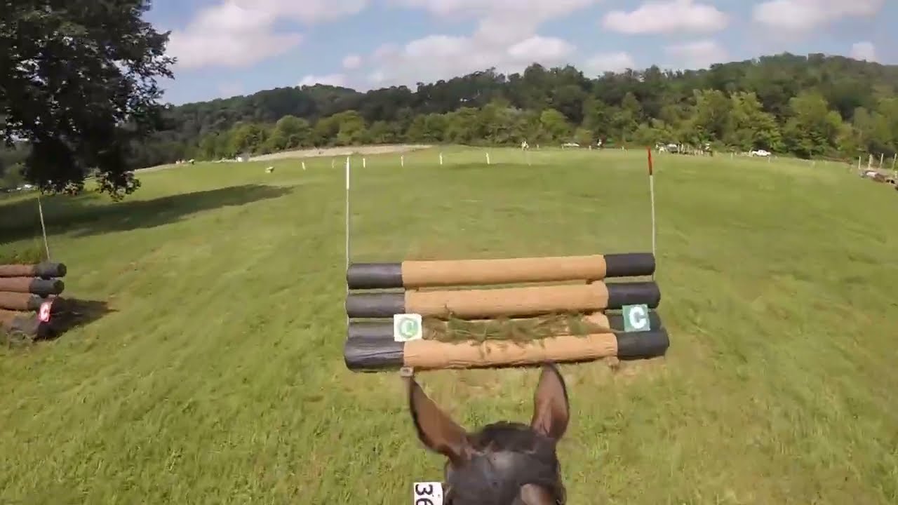 GOPRO: Tullymurry Fifi (🥈| CCI 2* | 2022 River Glen August Horse Trials)