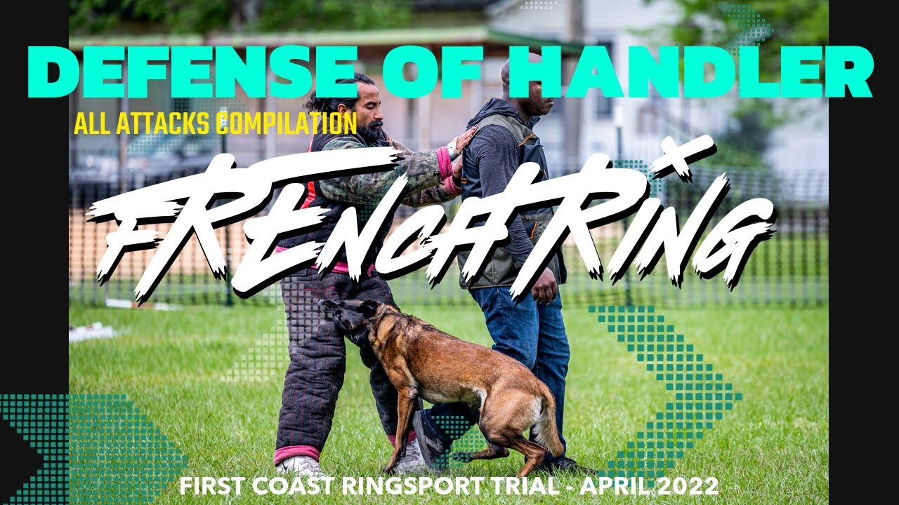 French Ring Defense of Handler - First Coast Ringsport Trial - April 2022