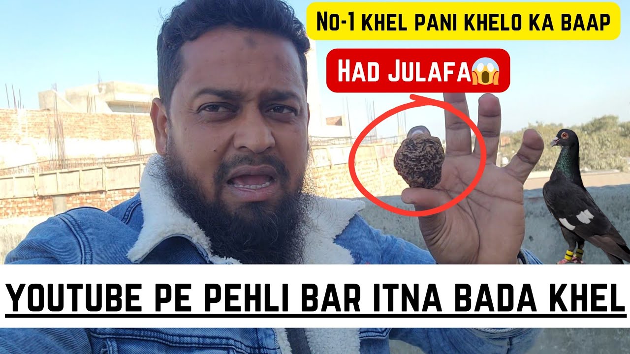 No-1 Khel Pani Khelo Ka Baap🔥||Hadd Julafa Ka Khel YouTube Pe Pehli Bar 😱||@pigeonscarefactory5328