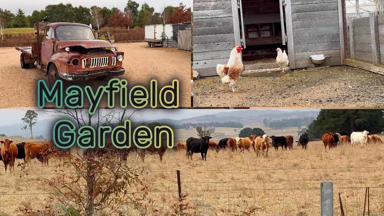 Australia | Mayfield Garden, you should visit this garden sometimes | Calm music
