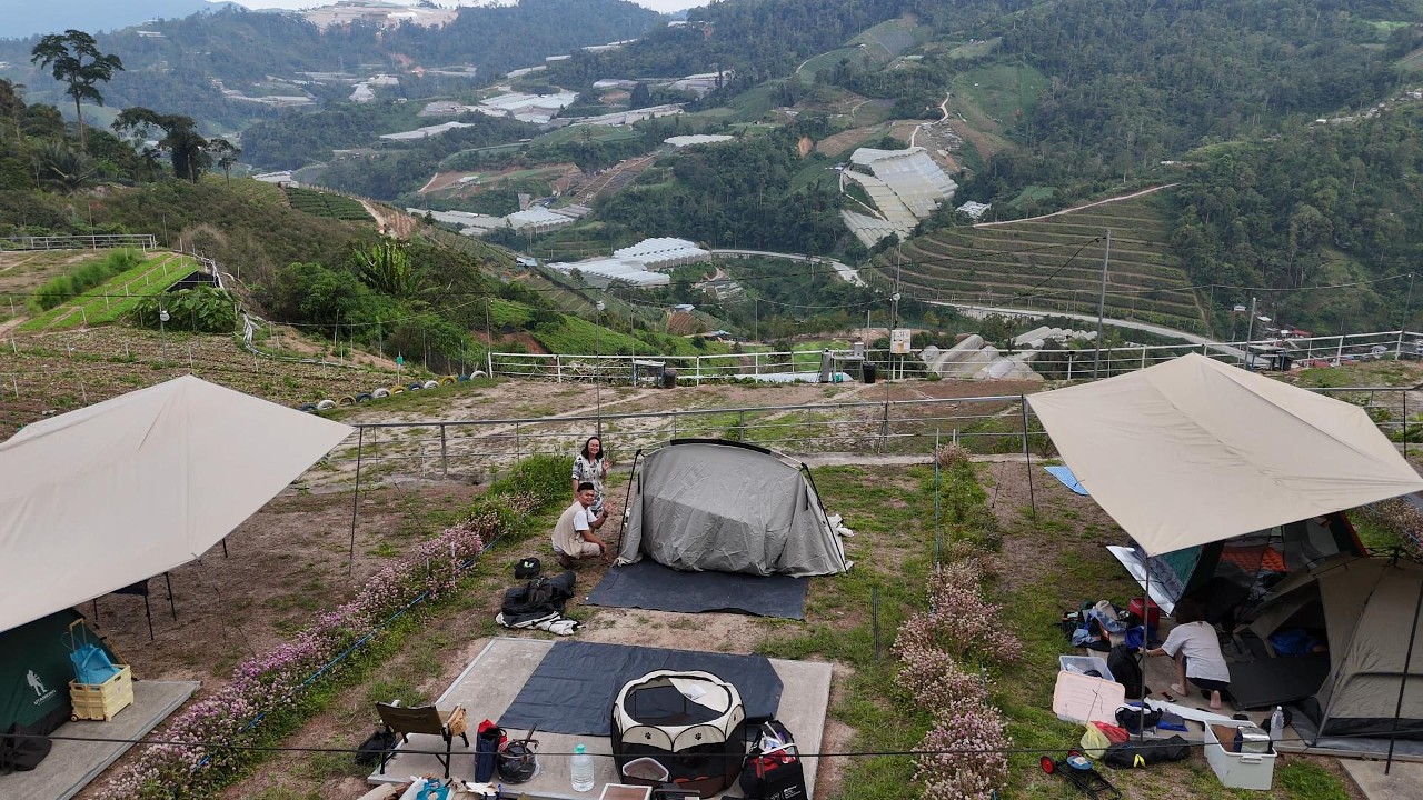 Mint Farm Cameron Highland camping Day 1