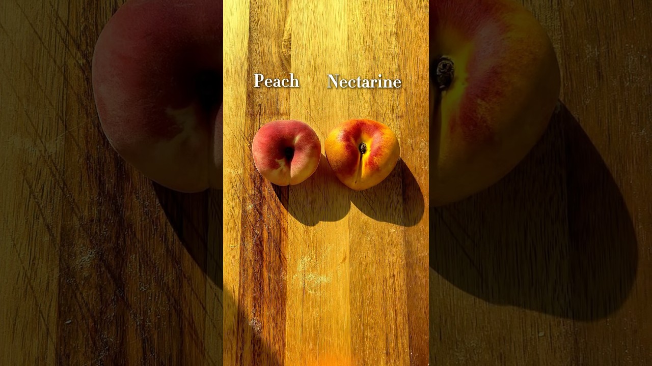 Peach vs nectarine which is your favorite? #baking #peach