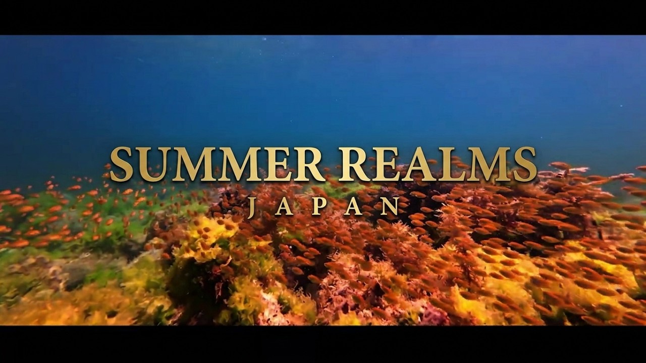 高知 愛媛の美しい水中世界とドローン空撮 総集編夏【4K Nature】音楽 すもちの曲 虹の宙