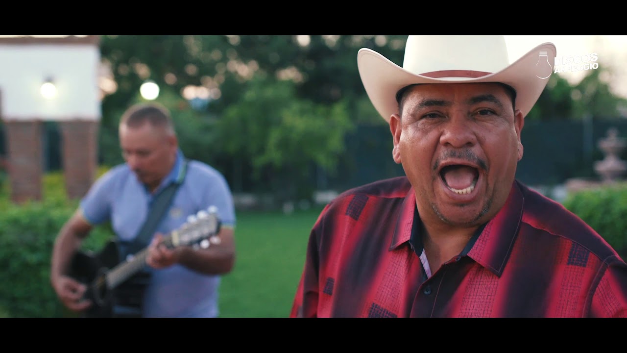 EL TIGRILLO PALMA -     VALE LA PENA