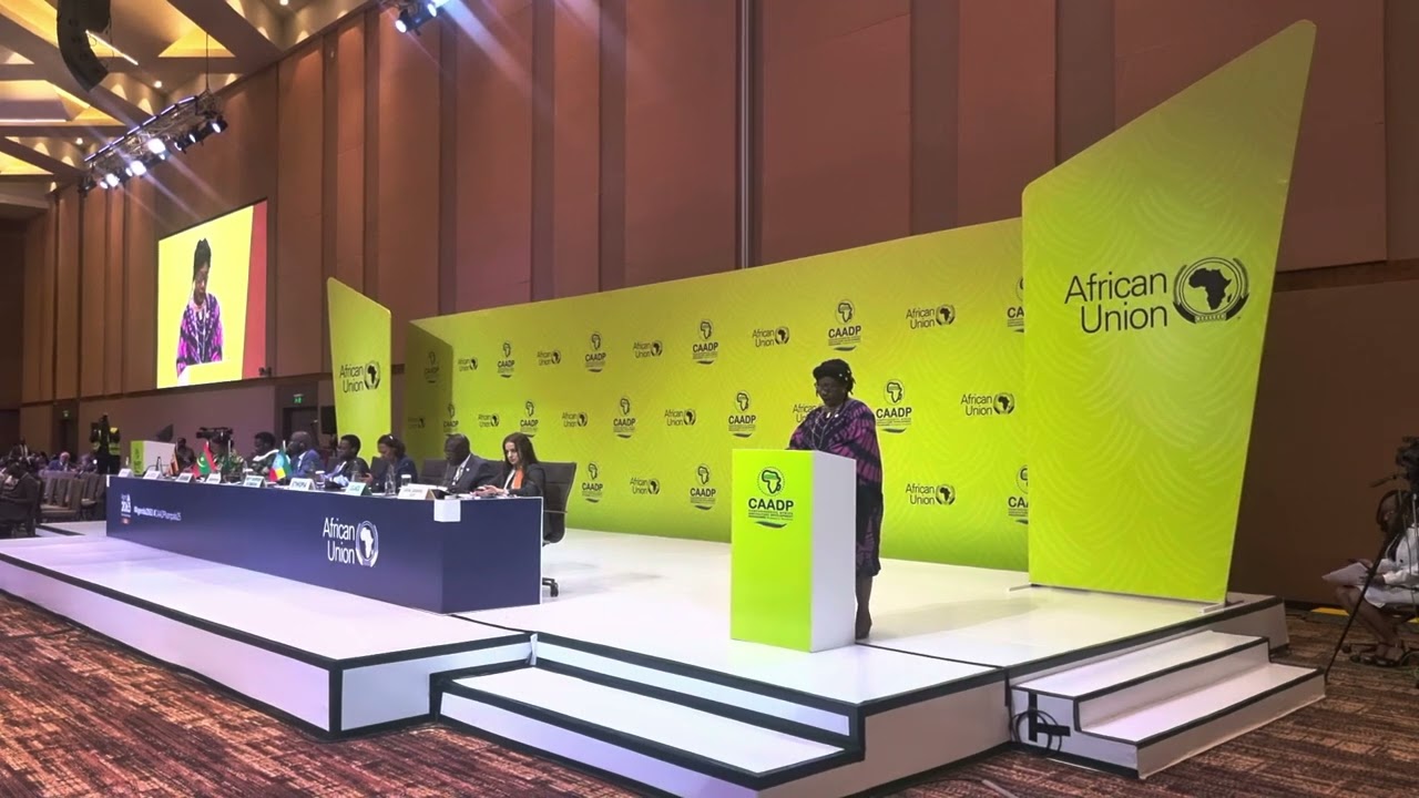 Joint Ministerial Session of Ministers of Foreign Affairs & Ministers of Agriculture - CAADP  Summit