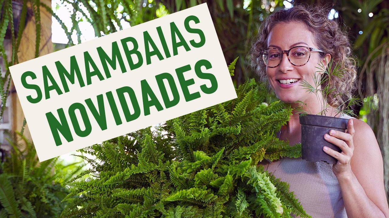 7 SAMAMBAIAS que são NOVIDADE e você PRECISA CONHECER